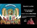 Jim Findlay presents "Electric Lucifer" at the 2016 Creative Capital Retreat