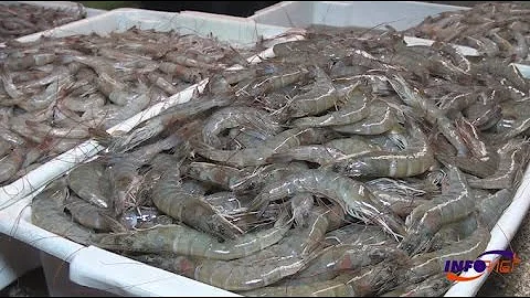 Quando a arritmia e perigosa?