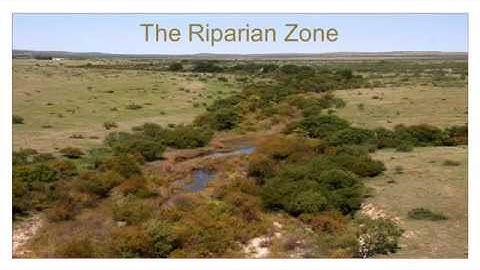 Remarkable Riparian Lesson 2: Defining Riparian