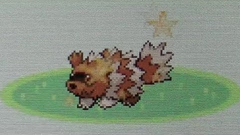 55. 2nd LIVE Random Shiny Zigzagoon Sapphire Version Full Odds