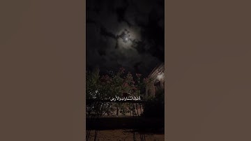 مين يقدر يخمن إسم القارئ؟ 🩷 #قران_كريم #قرآن #راحة_نفسية #قران