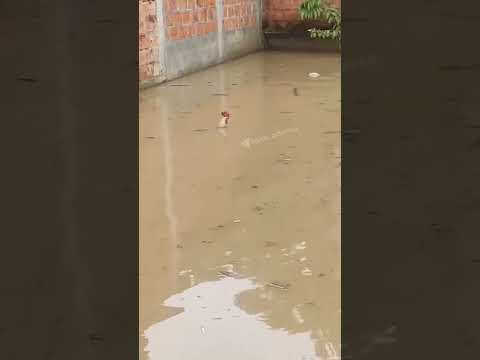 Как сегодня во время дождя можно было передвигаться по Пересыпи🤪😁🙄😼