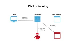 Dns Cache poisoning attack in 5 minutes 