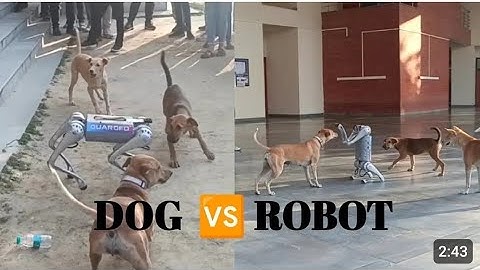 Dog Fighting with Robot 🤪| Dog Vs Robot In IIT Kanpur | Artificial Dog encounter Real dog and war