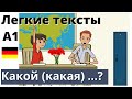 &quot;Какой (какая) ...?&quot;. Легкие тексты на немецком.  А1