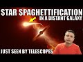 Black Hole Spaghettified a Star and We Saw Its Last Moments