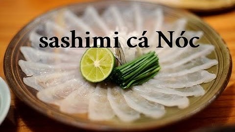 Cùng xem cách người Nhật chế biến cá Nóc để làm món Sashimi