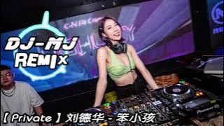 刘德华 - 笨小孩 Techno Remix 快摇【哎哟往著胸口拍一拍呀 勇敢站起来不用心情太坏】 🔥🔥