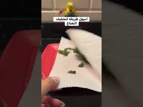 نعناع      اكسبلور ترند 