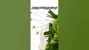 زیادی دلبر نیستن طلا ترفند طلافروشی عروسکی عروسک Cute Gold دخترونه Jewelry 