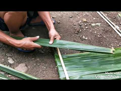 Cara membuat atap dari daun Rumbia