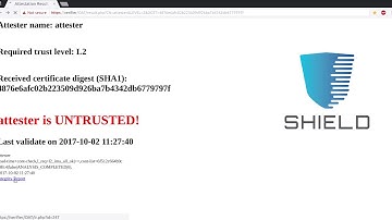 NFV infrastructure and service attestation