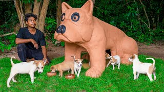 Build Mud Dog House For Kutta Puppies In Pug Dog Style