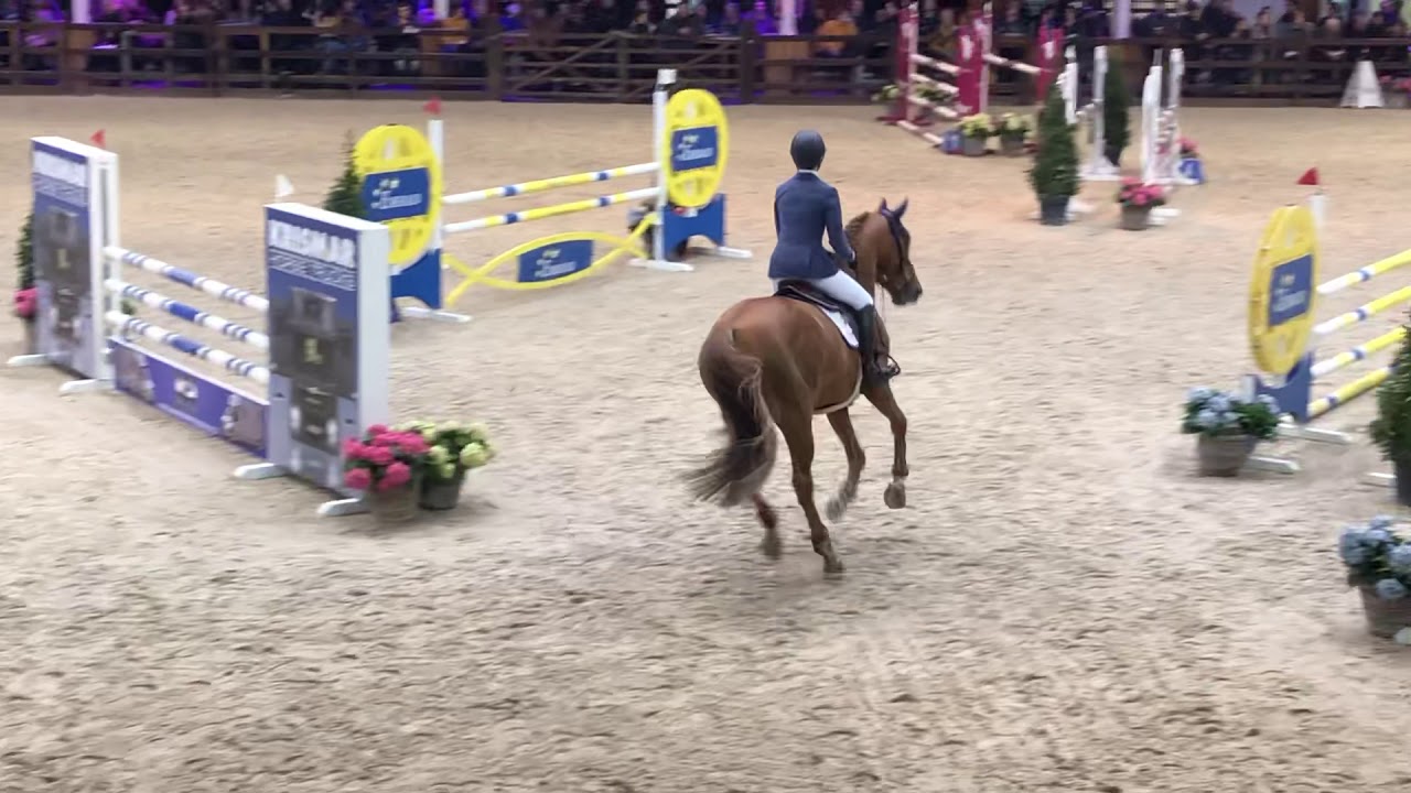 Piece of Cake M - 5yo Stallion Competition Azelhof