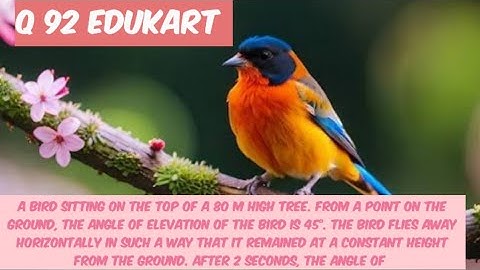 A bird is sitting on the top of a 80m high tree | Q 92 EDUKART SOLUTION 2024