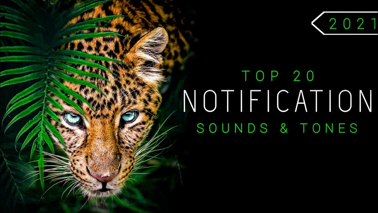 Top 20 Notification Sounds  Tones  Download links   Trend Tones