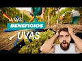 Los beneficios más atractivos y efectivos de la Uva [Fruta]