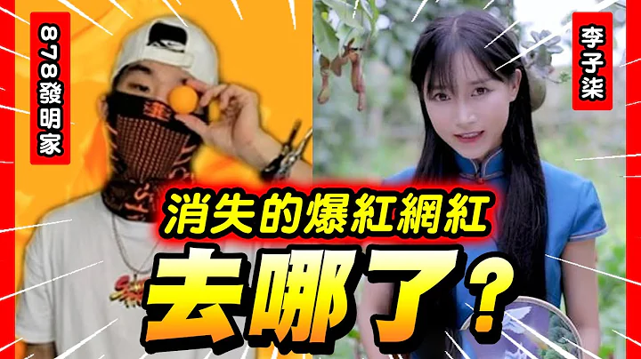 那些曾經爆紅的人去哪了？｜878發明家、李子柒｜打破世界紀錄的華語圈最狂Youtuber(沒有之一)一年沒更新！卻依然有超驚人流量...她人間"被"消失？ - 天天要聞