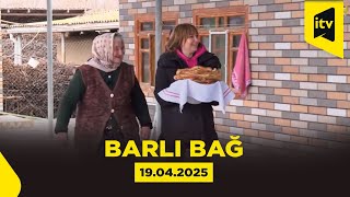 Barlı Bağ Cəlilabadda Torpaqsız Çiyələk Yetişdirən Istixarla Tanış Edir