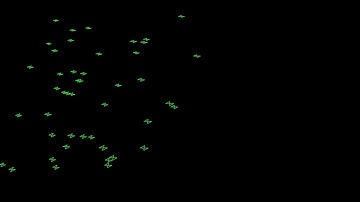 3D Bird Flocking Simulation Algorithm