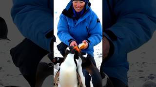 Are You Fighting Or Kissing