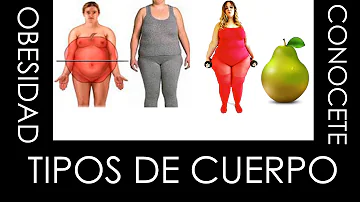 ¿Qué es el tipo de cuerpo gordito?