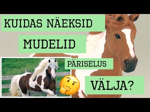 Video: Kuidas Hobustega Mängida