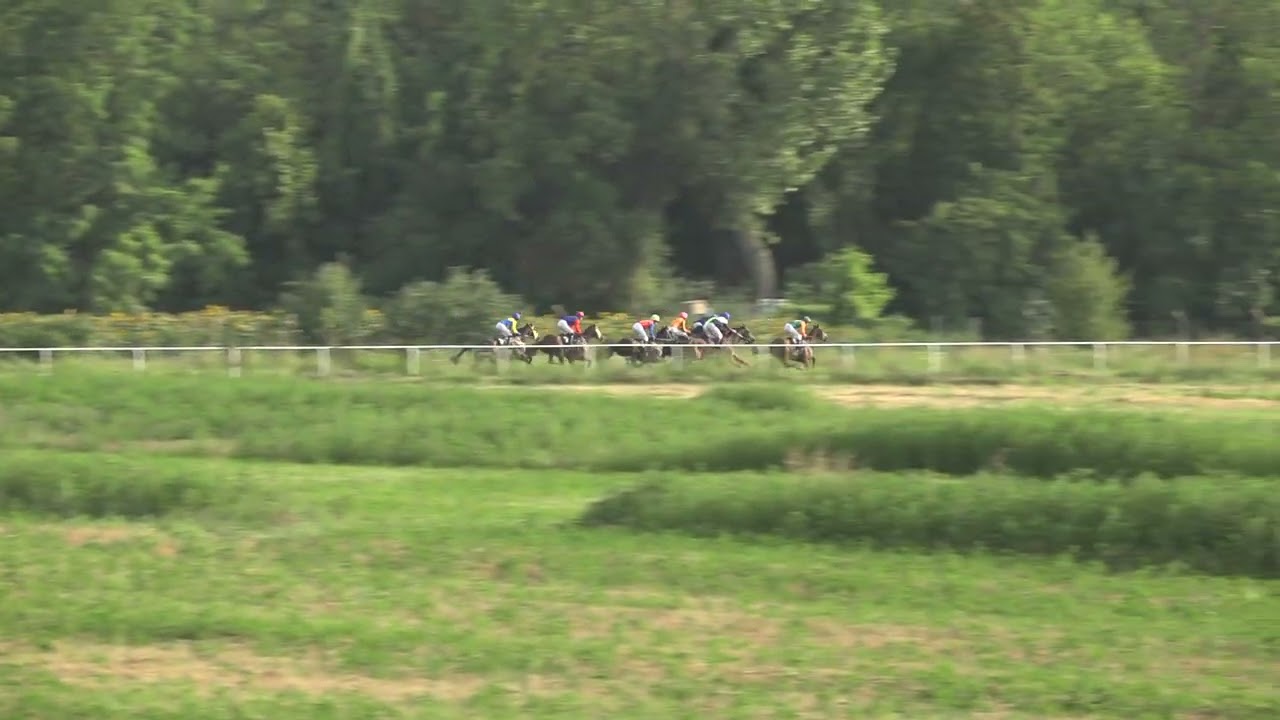 4 trka Sprint 1300m. 30.06.2024 Bogatic