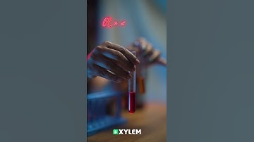 ഒരു Experiment കണ്ടാലോ ? | Xylem Class 6