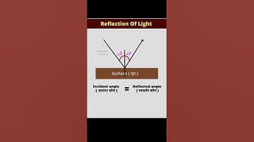 Reflection of Light 🔥| Board Exam 2025 Must Watch!