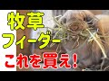 獣医師おすすめ【うさぎの牧草フィーダーの選び方】#85　うさぎの飼い方Vol.42