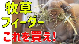 獣医師おすすめ【うさぎの牧草フィーダーの選び方】#85　うさぎの飼い方Vol.42