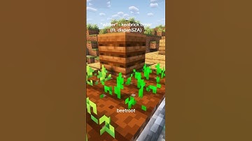 “wither” (minecraft parody)