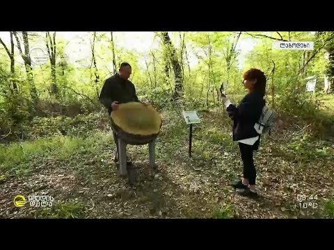 ლაგოდეხის ნაკრძალის სათავგადასავლო ტური ! დაცულ ტერიტორიებს ახალი, შემეცნებითი ბილიკი შეემატა