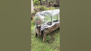 Thumbnail of DIY Greenhouse for less than $10. #diygreenhouse #growyourownfood #slowliving #dreamlife