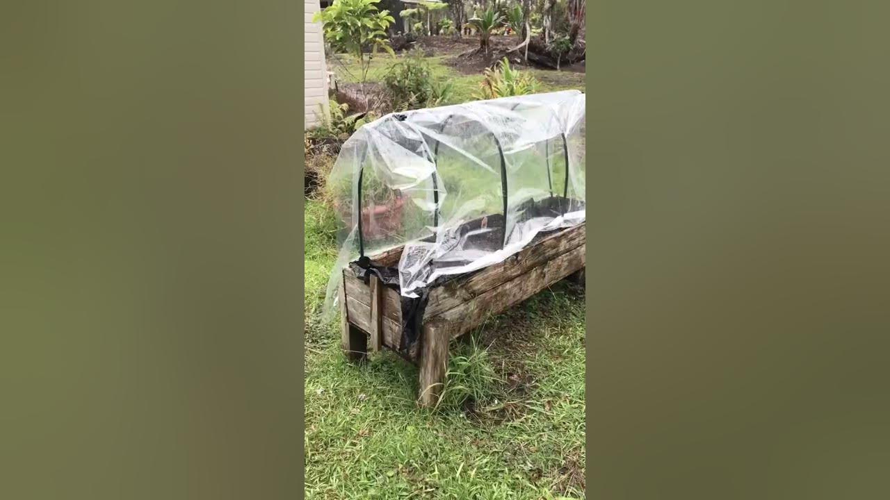 DIY Greenhouse for less than $10. #diygreenhouse #growyourownfood #slowliving #dreamlife