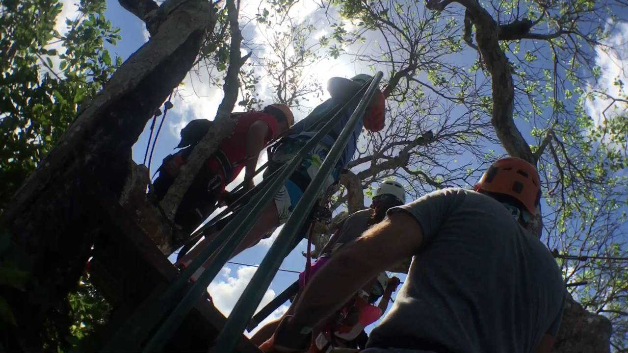 Selvatica Adventure ZipLine