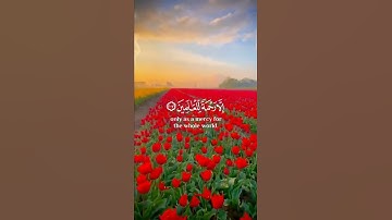وما ارسلناك إلا رحمة للعالمين ❤ حالات واتس اب قران 💚تلاوة خاشعة 💙 Quran Status 💜 اية قرانية قصيره