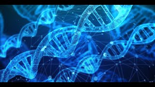 1Secondary - Answer Lesson2 - Second Term