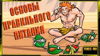Основы правильного питания Основы правильного питания