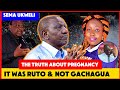 THE TRUTH IS OUT RUTO TO BE ARRESTED AFTER FULL EVIDENCE RELEASED ABOUT MAUREEN PREGNANCY OTHERS