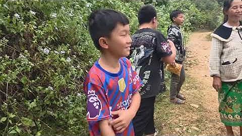 Mus saib dej nas muas 12/12/25