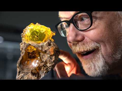 Adam Savage Recognizes this Iconic Jurassic Park Prop!