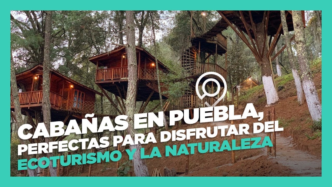 Cabañas en Puebla perfectas para disfrutar del ecoturismo y la naturaleza -  YouTube