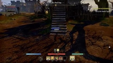 The Elder Scrolls Online: Tamriel Unlimited Crash Bug