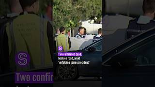 Two confirmed dead, body on road, amid ‘unfolding serious incident’ in Auckland | Stuff.co.nz