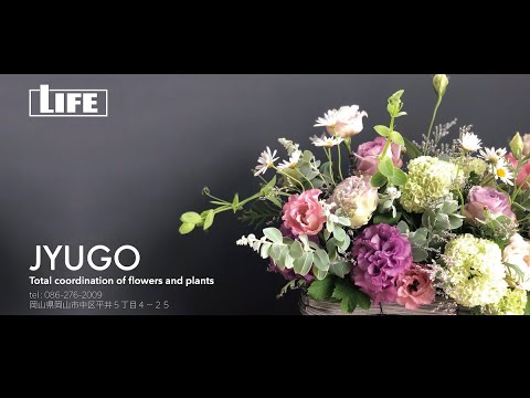 ライフクリエイティブエージェンシー