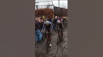 Van Aert e Van der Poel: Nys polemico sullo "startgeld"