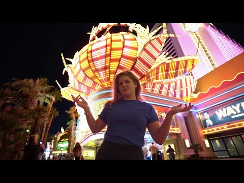 Video: Flamingo Las Vegas Hotel na Casino Right on the Strip