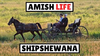 Amish Life: Shipshewana